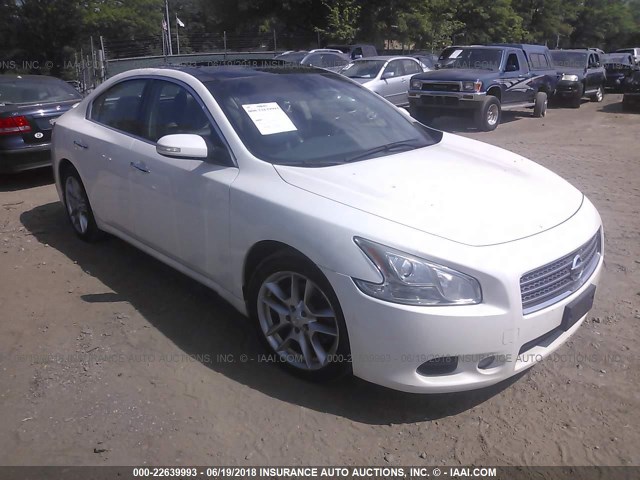 1N4AA5AP2AC844721 - 2010 NISSAN MAXIMA S/SV WHITE photo 1