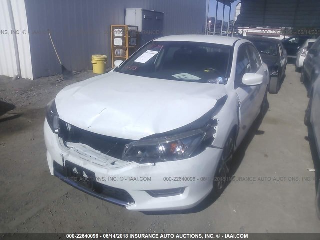 1HGCR2F58FA259857 - 2015 HONDA ACCORD SPORT WHITE photo 2