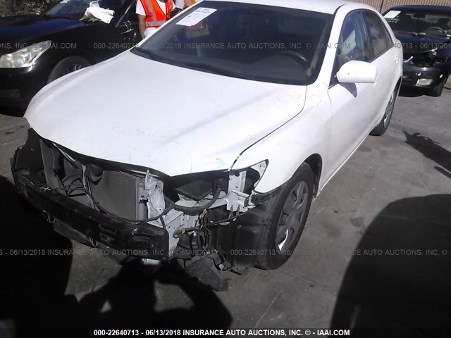 4T4BE46K69R085217 - 2009 TOYOTA CAMRY SE/LE/XLE WHITE photo 2