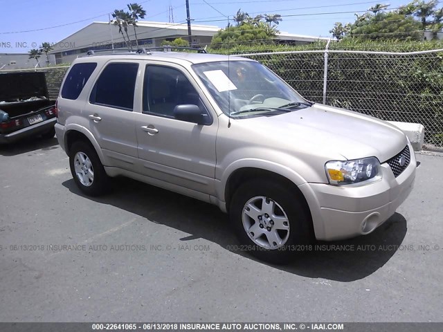 1FMCU041X7KB17941 - 2007 FORD ESCAPE LIMITED GOLD photo 1
