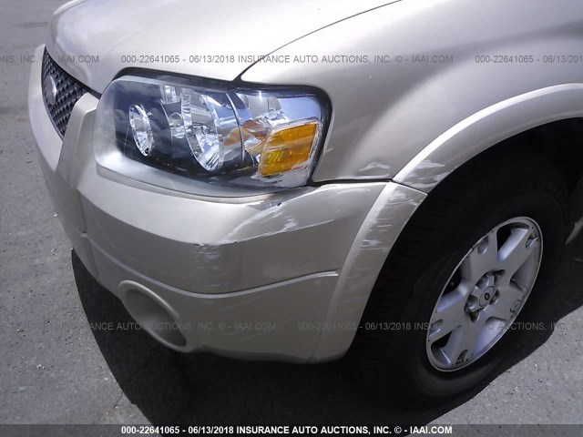 1FMCU041X7KB17941 - 2007 FORD ESCAPE LIMITED GOLD photo 6
