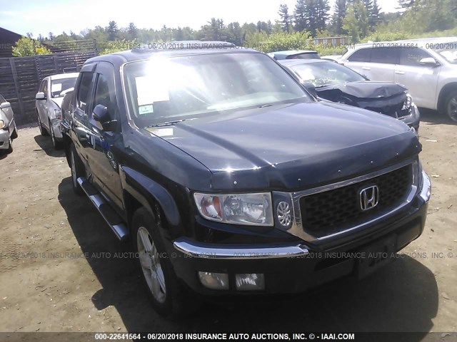 5FPYK16509B106461 - 2009 HONDA RIDGELINE RTL BLACK photo 1