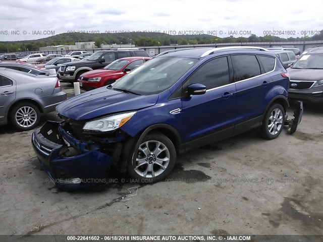 1FMCU0JX9EUA29425 - 2014 FORD ESCAPE TITANIUM BLUE photo 2