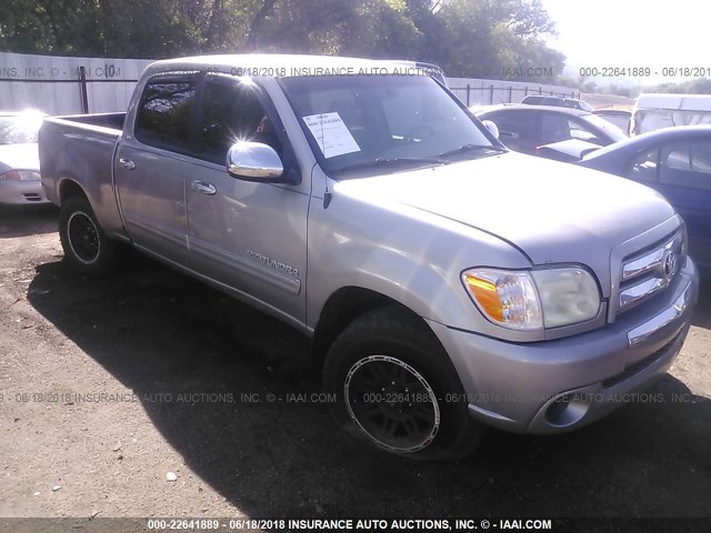 5TBDT441X5S487918 - 2005 TOYOTA TUNDRA DOUBLE CAB SR5 GRAY photo 1