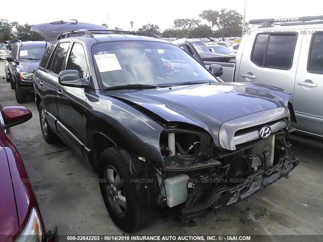 KM8SC73D65U981390 - 2005 HYUNDAI SANTA FE GLS/LX GRAY photo 1