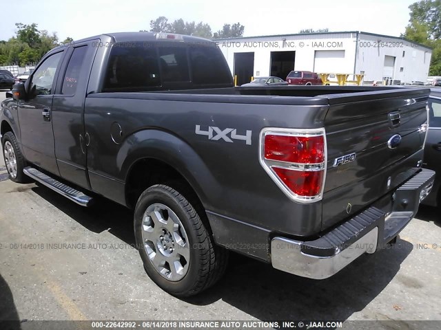 1FTFX1EV7AFC83964 - 2010 FORD F150 SUPER CAB GRAY photo 3