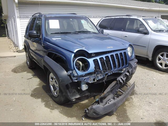 1J4GL48K53W700949 - 2003 JEEP LIBERTY SPORT/FREEDOM ლურჯი ფოტო 6