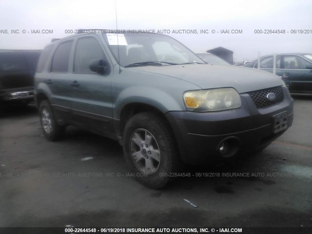 1FMYU03146KA07859 - 2006 FORD ESCAPE XLT GREEN photo 1