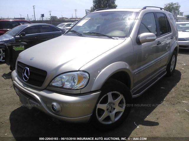 4JGAB54E42A308749 - 2002 MERCEDES-BENZ ML 320 GOLD photo 2