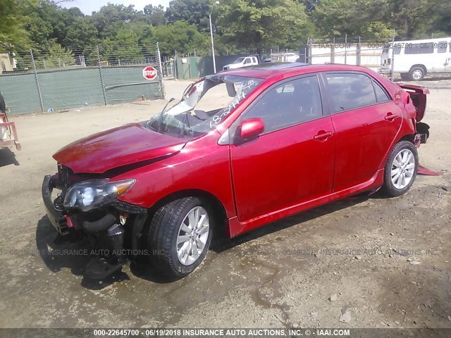 2T1BU4EE3AC489462 - 2010 TOYOTA COROLLA S/LE/XLE RED photo 2