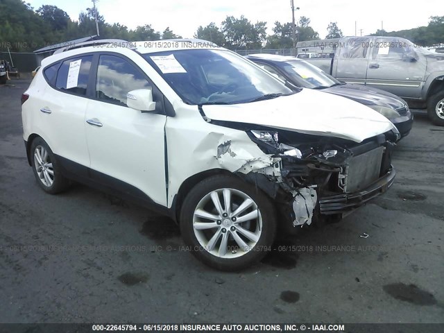 KM8JU3AC5AU081103 - 2010 HYUNDAI TUCSON GLS/LIMITED WHITE photo 1