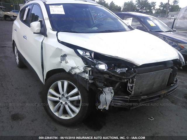 KM8JU3AC5AU081103 - 2010 HYUNDAI TUCSON GLS/LIMITED WHITE photo 6