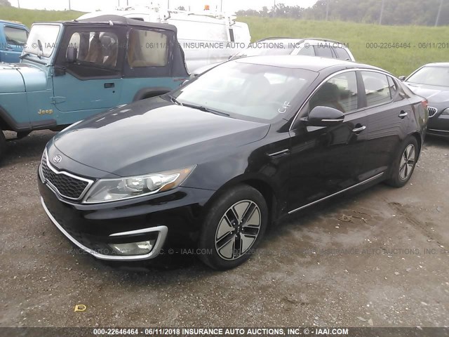 KNAGM4AD1B5002824 - 2011 KIA OPTIMA HYBRID BLACK photo 2