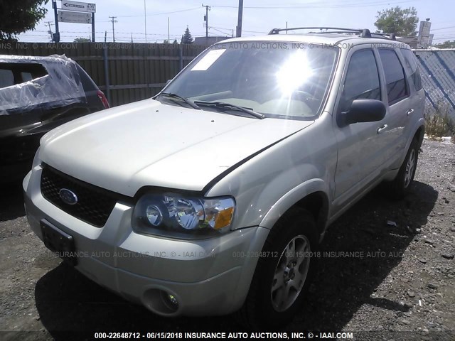 1FMYU94145KE48277 - 2005 FORD ESCAPE LIMITED GOLD photo 2