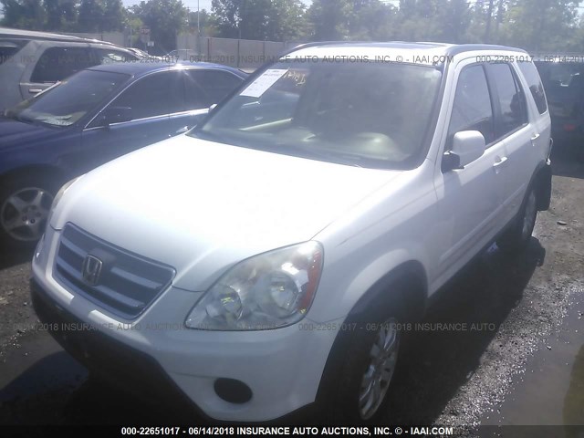 JHLRD78945C014452 - 2005 HONDA CR-V SE/EX WHITE photo 2