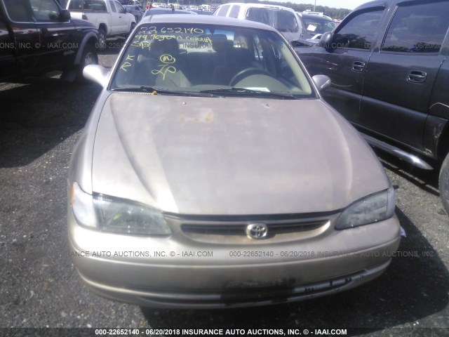 1NXBR12E7XZ292743 - 1999 TOYOTA COROLLA VE/CE/LE 金色 照片 6