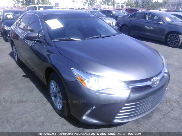 4T1BF1FK1HU647240 - 2017 TOYOTA CAMRY LE/XLE/SE/XSE GRAY photo 1