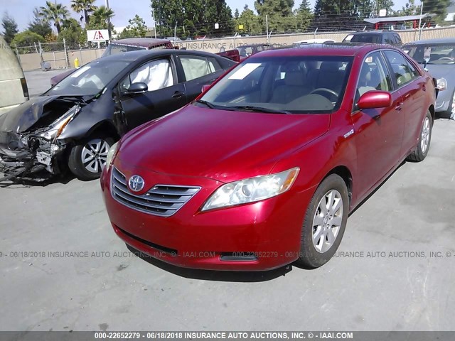 4T1BB46K68U050324 - 2008 TOYOTA CAMRY HYBRID RED photo 2