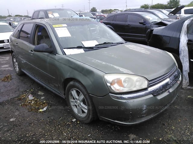1G1ZT62875F137048 - 2005 CHEVROLET MALIBU MAXX LS 绿色 照片 1