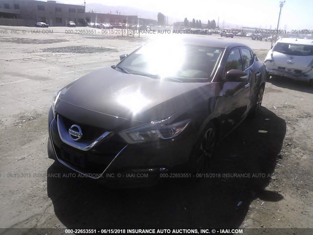 1N4AA6AP2GC411978 - 2016 NISSAN MAXIMA 3.5S/SV/SL/SR/PLAT BROWN photo 2