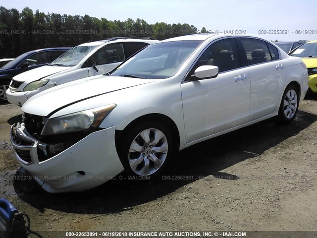 1HGCP36869A000150 - 2009 HONDA ACCORD EXL WHITE photo 2