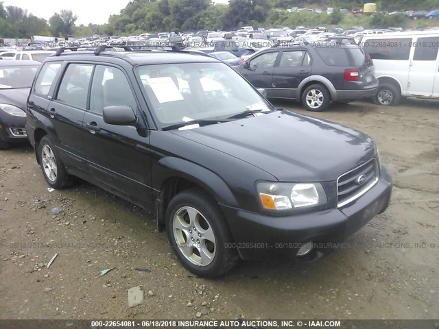JF1SG65663H700461 - 2003 SUBARU FORESTER 2.5XS შავი ფოტო 1