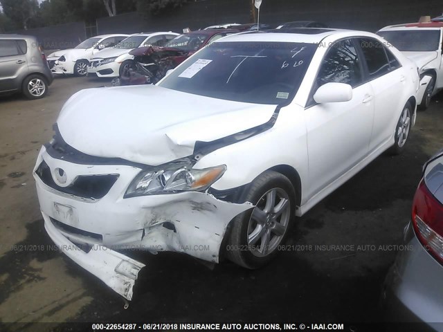 4T1BK46K08U575444 - 2008 TOYOTA CAMRY LE/XLE/SE თეთრი ფოტო 2