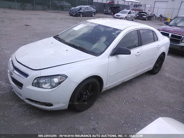 1G1ZB5E09CF180225 - 2012 CHEVROLET MALIBU LS WHITE photo 2