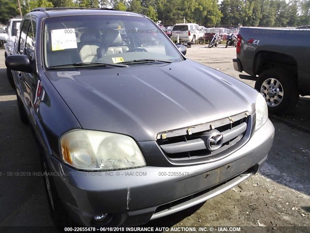 4F2YU08182KM09911 - 2002 MAZDA TRIBUTE LX/ES GRAY photo 6