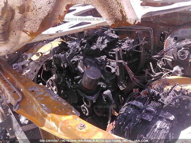 5TELU42N26Z189745 - 2006 TOYOTA TACOMA DOUBLE CAB თეთრი ფოტო 10