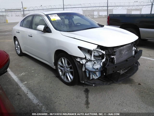 1N4AA5AP5AC846186 - 2010 NISSAN MAXIMA S/SV WHITE photo 1