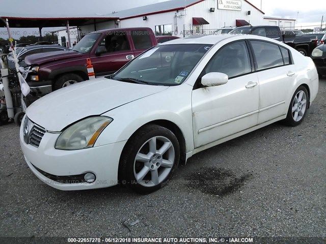 1N4BA41E85C825710 - 2005 NISSAN MAXIMA SE/SL WHITE photo 2