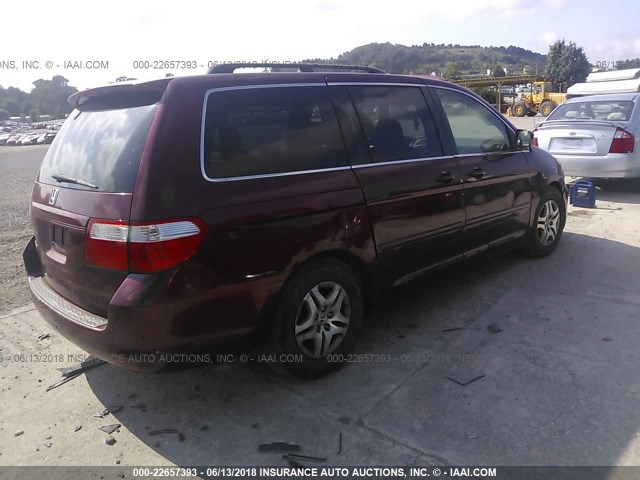 5FNRL38766B059145 - 2006 HONDA ODYSSEY EXL BURGUNDY photo 4