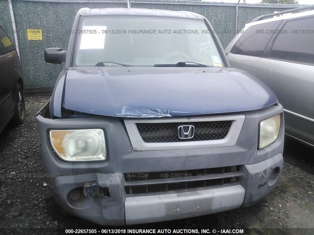 5J6YH28203L010540 - 2003 HONDA ELEMENT DX BLUE photo 6