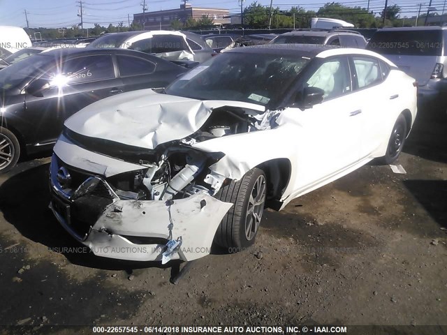 1N4AA6AP2HC435988 - 2017 NISSAN MAXIMA 3.5S/SV/SL/SR/PLAT WHITE photo 2