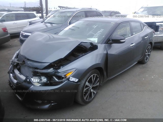 1N4AA6AP5HC441901 - 2017 NISSAN MAXIMA 3.5S/SV/SL/SR/PLAT GRAY photo 2