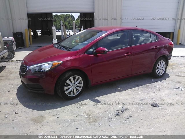 KNAFX4A66E5186862 - 2014 KIA FORTE LX RED photo 2