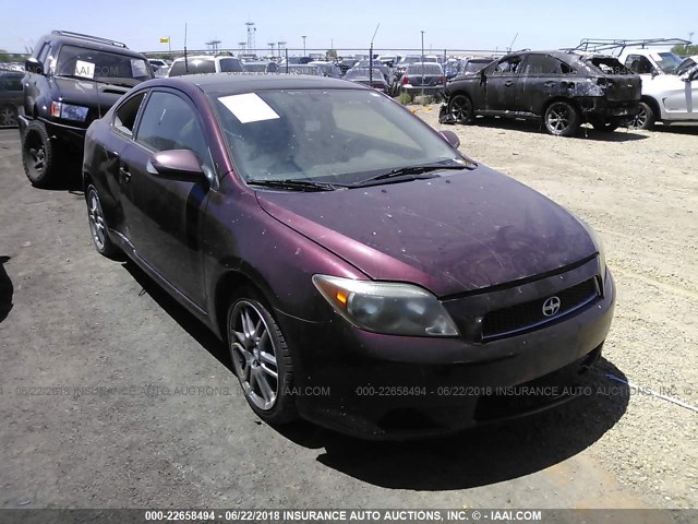 JTKDE167950062963 - 2005 TOYOTA SCION TC 勃艮第红 照片 1