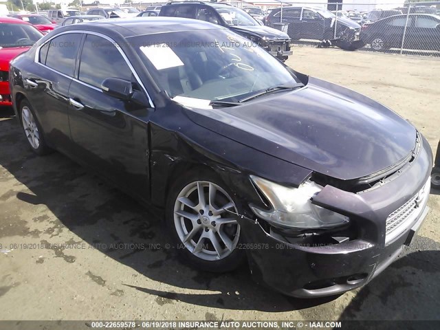 1N4AA5AP0AC823768 - 2010 NISSAN MAXIMA S/SV BLACK photo 1