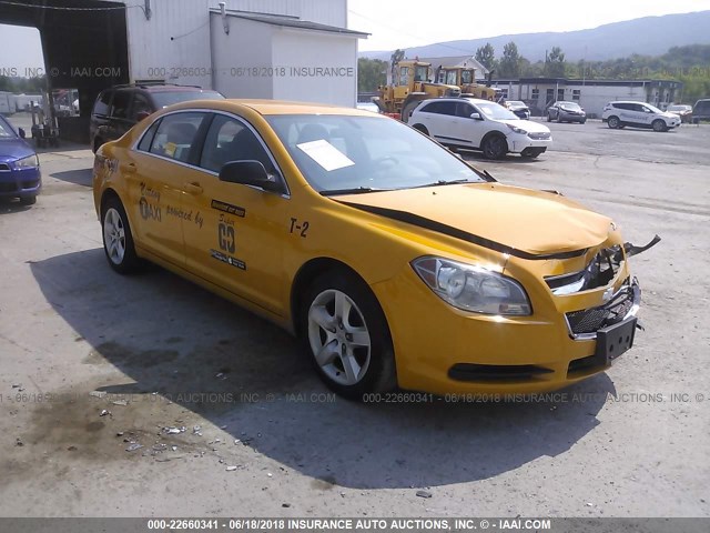 1G1ZA5EU8CF319668 - 2012 CHEVROLET MALIBU LS Сары фото 1