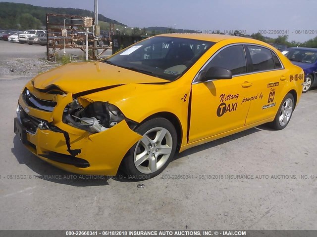 1G1ZA5EU8CF319668 - 2012 CHEVROLET MALIBU LS Сары фото 2