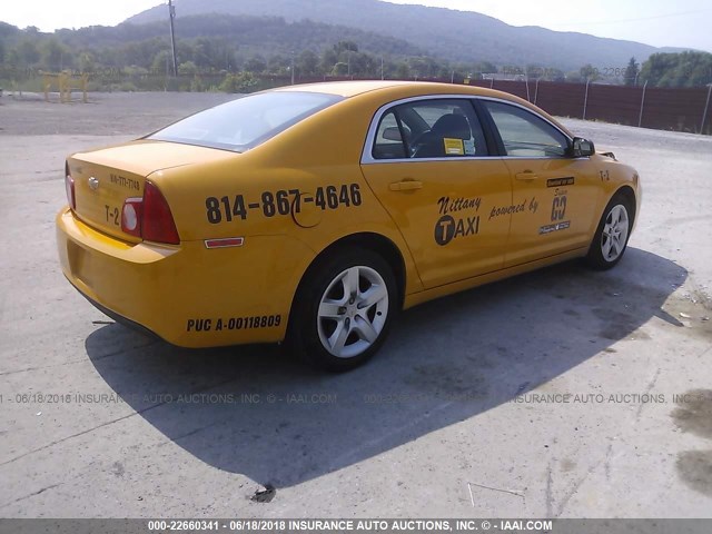 1G1ZA5EU8CF319668 - 2012 CHEVROLET MALIBU LS Сары фото 4