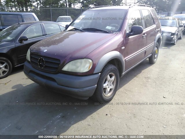 4JGAB54EXXA060305 - 1999 MERCEDES-BENZ ML 320 BURGUNDY photo 2