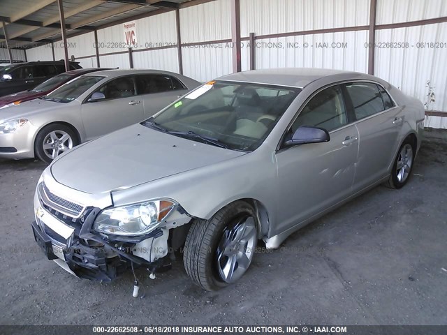 1G1ZA5EU7CF316180 - 2012 CHEVROLET MALIBU LS GOLD photo 2