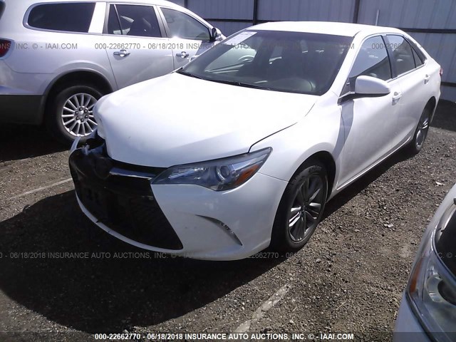 4T1BF1FK4GU230127 - 2016 TOYOTA CAMRY LE/XLE/SE/XSE 白色 照片 2
