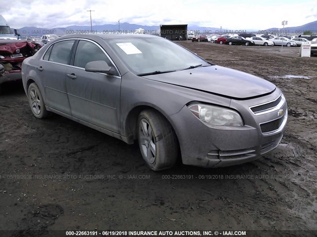 1G1ZC5EB4AF138511 - 2010 CHEVROLET MALIBU 1LT Pewter photo 1