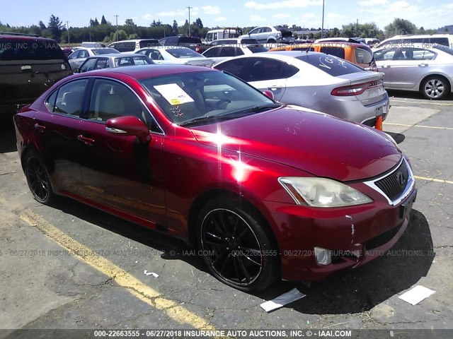 JTHBE5C29A5024319 - 2010 LEXUS IS 350 RED photo 1