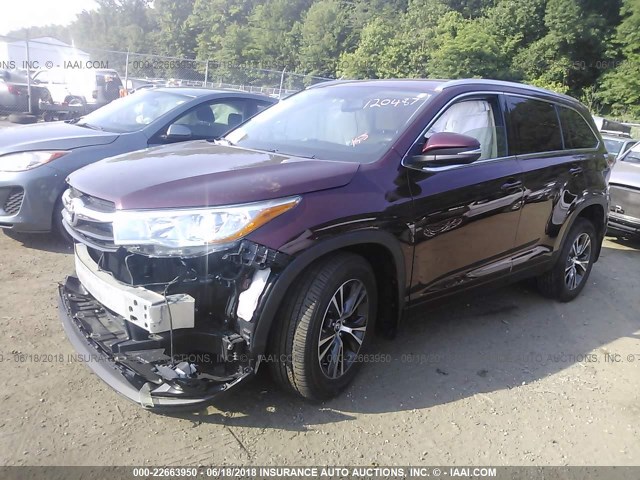5TDJKRFH7GS267286 - 2016 TOYOTA HIGHLANDER XLE Բորդո լուսանկար 2