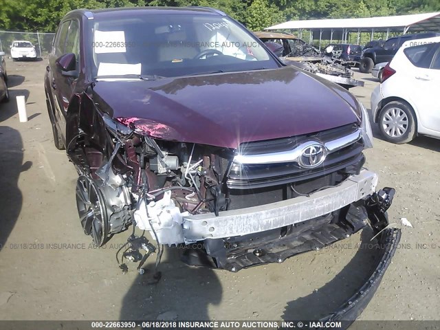 5TDJKRFH7GS267286 - 2016 TOYOTA HIGHLANDER XLE Բորդո լուսանկար 6