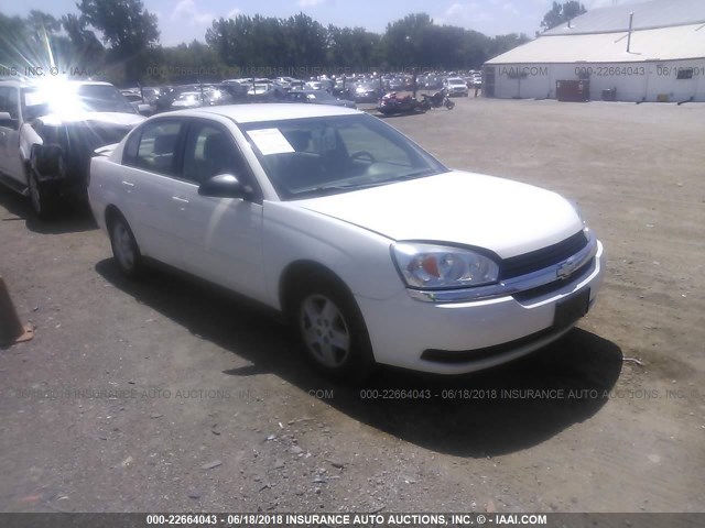 1G1ZT54895F247025 - 2005 CHEVROLET MALIBU LS თეთრი ფოტო 1